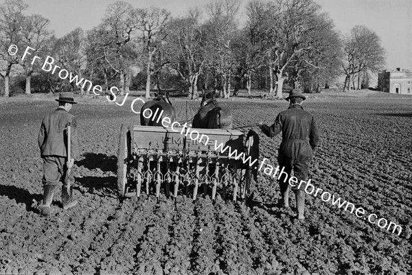 SOWING WINTER WHEAT MACHINE